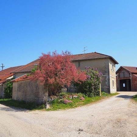 Le Gite Du Haut Chatillon-la-Palud Luaran gambar